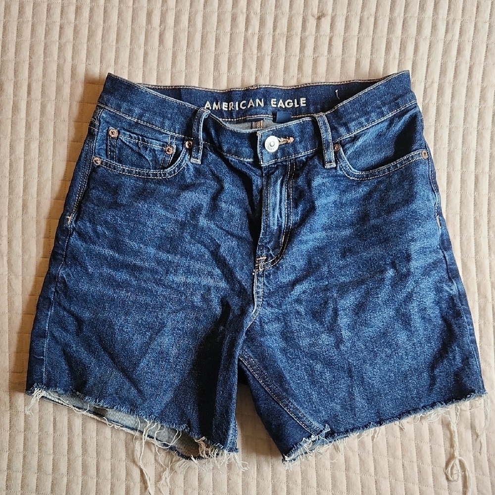 American Eagle Strigid Relaxed Short